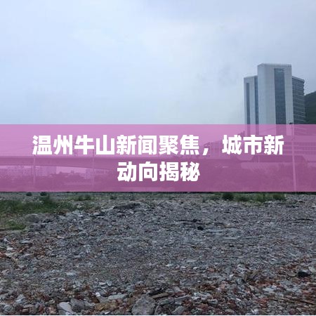 温州牛山新闻聚焦，城市新动向揭秘