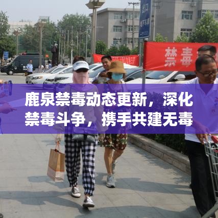 鹿泉禁毒动态更新，深化禁毒斗争，携手共建无毒社会