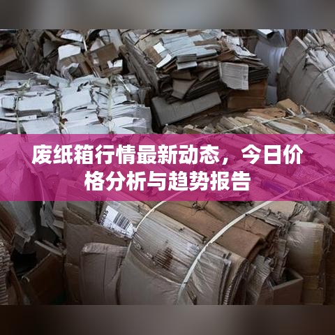 废纸箱行情最新动态，今日价格分析与趋势报告