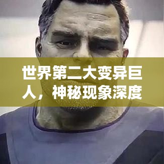 2025年6月12日