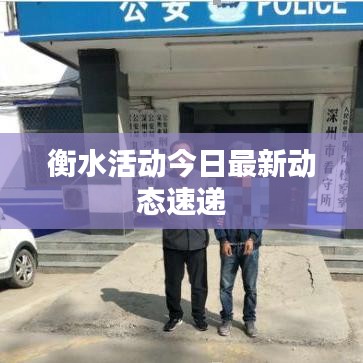 衡水活动今日最新动态速递