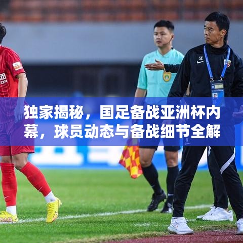 独家揭秘，国足备战亚洲杯内幕，球员动态与备战细节全解析！