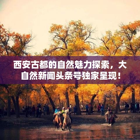 西安古都的自然魅力探索，大自然新闻头条号独家呈现！
