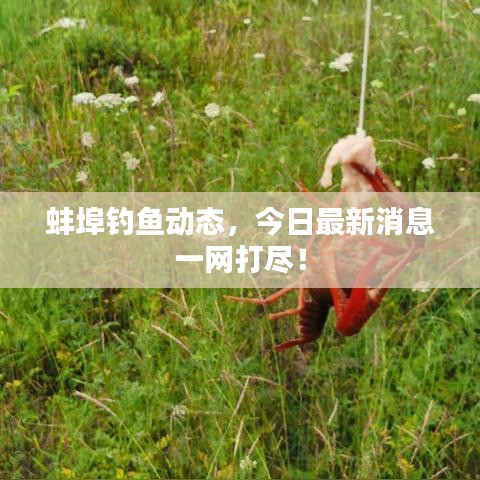 蚌埠钓鱼动态，今日最新消息一网打尽！