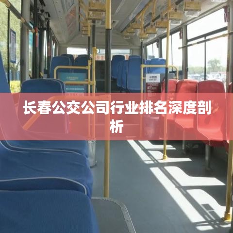 长春公交公司行业排名深度剖析