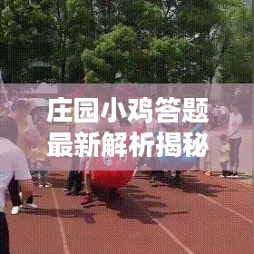 庄园小鸡答题最新解析揭秘，今日答案全攻略！