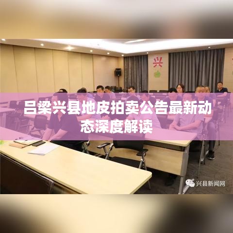吕梁兴县地皮拍卖公告最新动态深度解读