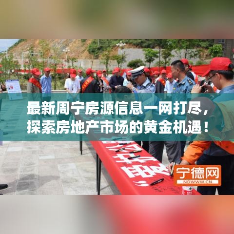 最新周宁房源信息一网打尽，探索房地产市场的黄金机遇！