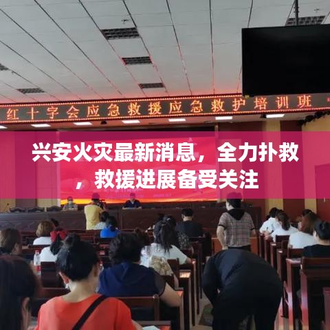 兴安火灾最新消息，全力扑救，救援进展备受关注