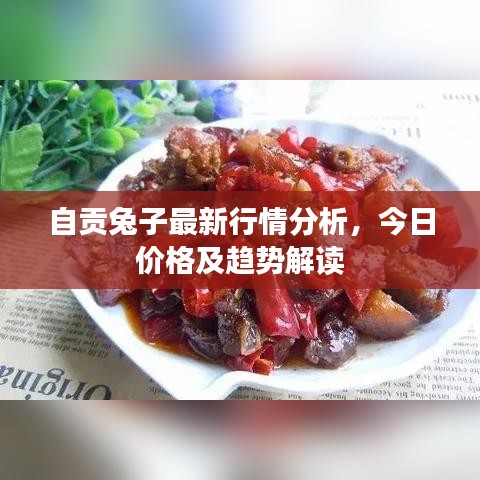 自贡兔子最新行情分析，今日价格及趋势解读
