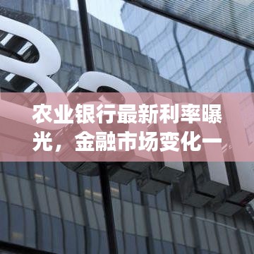 农业银行最新利率曝光，金融市场变化一览无遗！