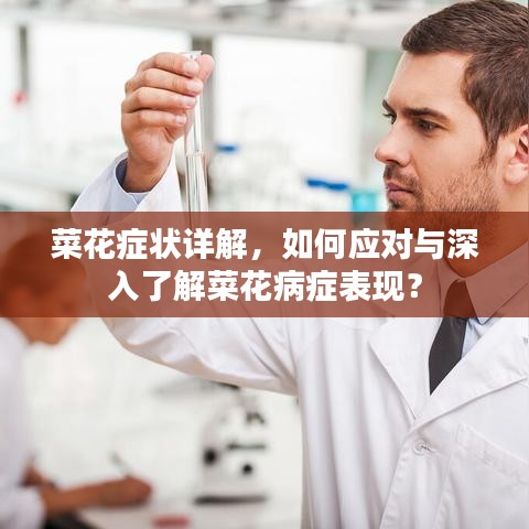 菜花症状详解，如何应对与深入了解菜花病症表现？