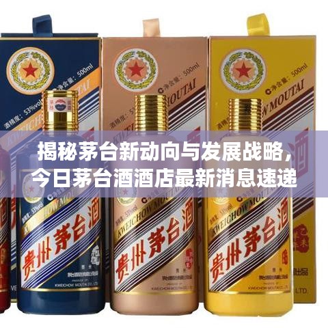 揭秘茅台新动向与发展战略，今日茅台酒酒店最新消息速递