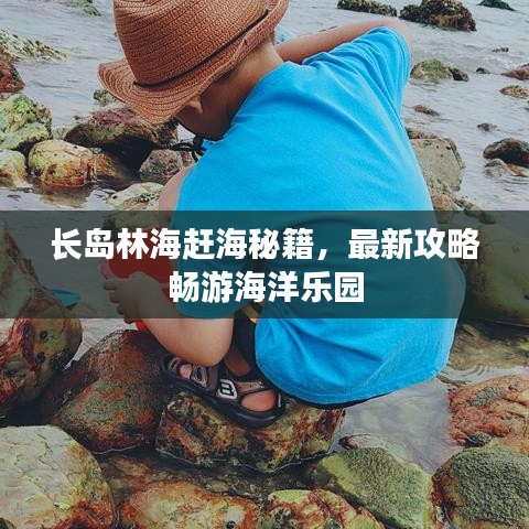 长岛林海赶海秘籍，最新攻略畅游海洋乐园
