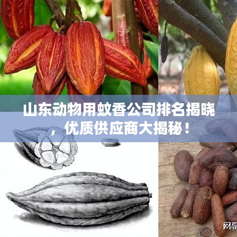 山东动物用蚊香公司排名揭晓，优质供应商大揭秘！