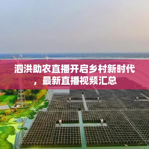 泗洪助农直播开启乡村新时代，最新直播视频汇总