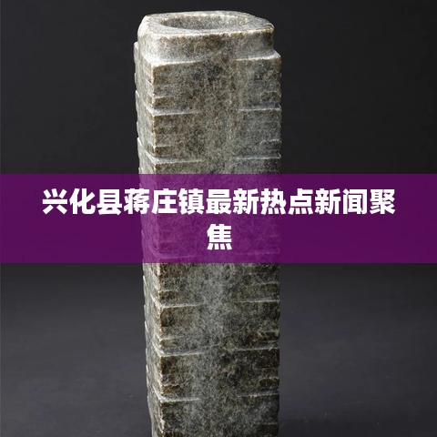 兴化县蒋庄镇最新热点新闻聚焦