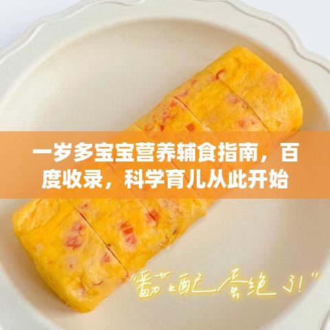 一岁多宝宝营养辅食指南，百度收录，科学育儿从此开始
