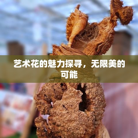 艺术花的魅力探寻，无限美的可能