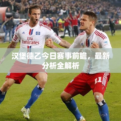 汉堡德乙今日赛事前瞻，最新分析全解析