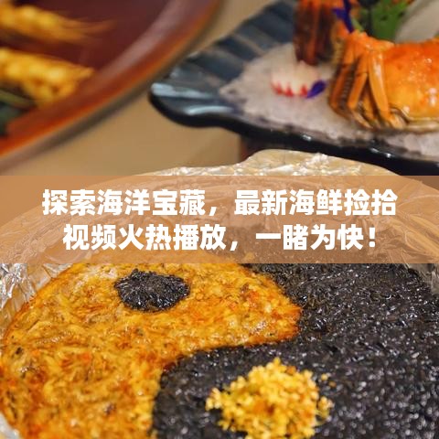 探索海洋宝藏，最新海鲜捡拾视频火热播放，一睹为快！