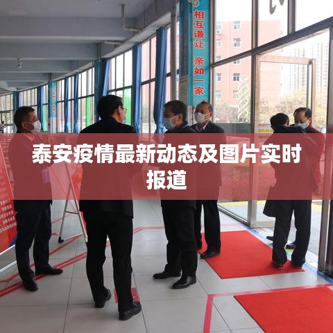 泰安疫情最新动态及图片实时报道
