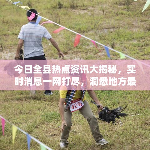 今日全县热点资讯大揭秘，实时消息一网打尽，洞悉地方最新动态