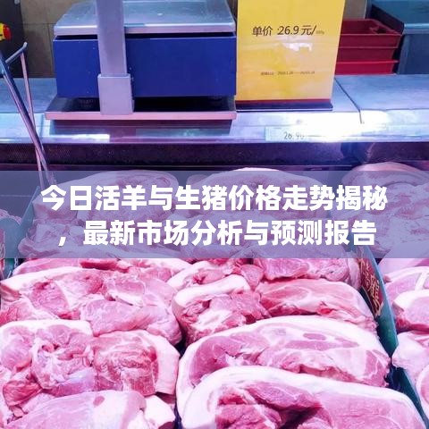 今日活羊与生猪价格走势揭秘，最新市场分析与预测报告