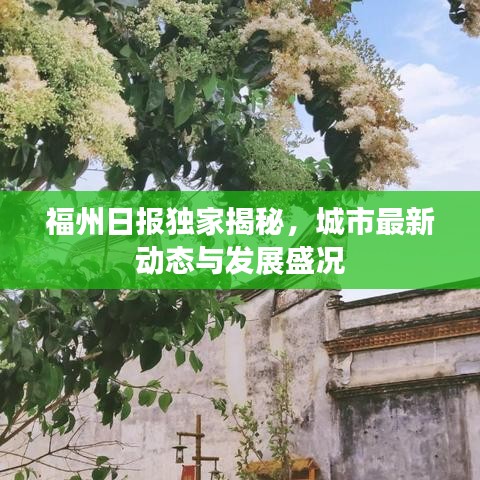 福州日报独家揭秘，城市最新动态与发展盛况
