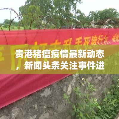 贵港猪瘟疫情最新动态，新闻头条关注事件进展