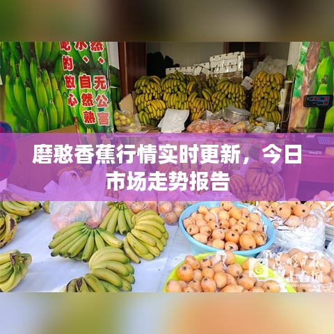 磨憨香蕉行情实时更新，今日市场走势报告