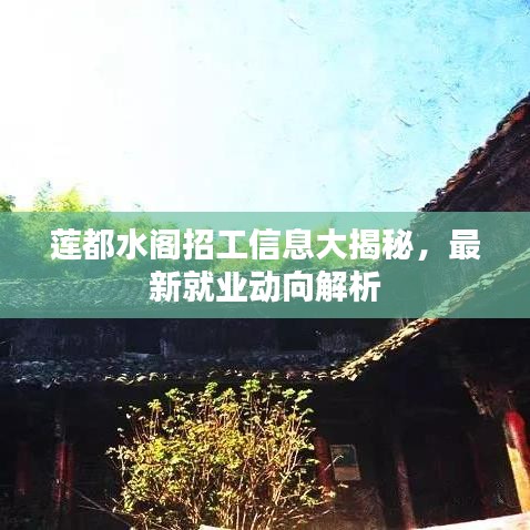 莲都水阁招工信息大揭秘，最新就业动向解析