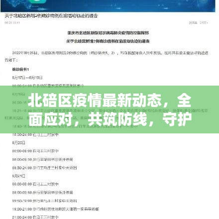 北碚区疫情最新动态，全面应对，共筑防线，守护家园安全