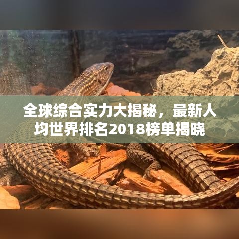 全球综合实力大揭秘，最新人均世界排名2018榜单揭晓