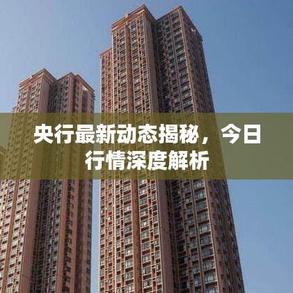 央行最新动态揭秘，今日行情深度解析