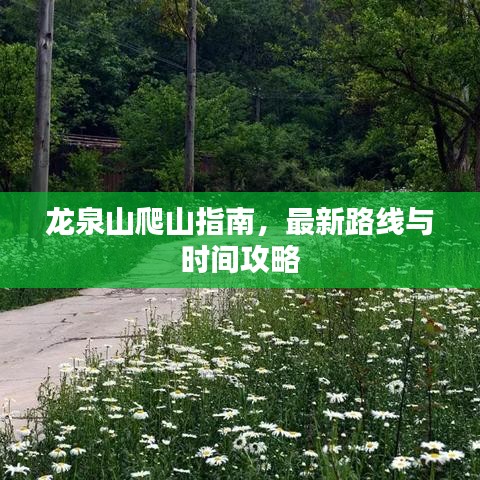 龙泉山爬山指南，最新路线与时间攻略