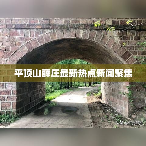 平顶山薛庄最新热点新闻聚焦