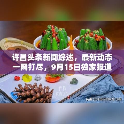 许昌头条新闻综述，最新动态一网打尽，9月15日独家报道