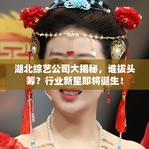 湖北综艺公司大揭秘，谁拔头筹？行业新星即将诞生！