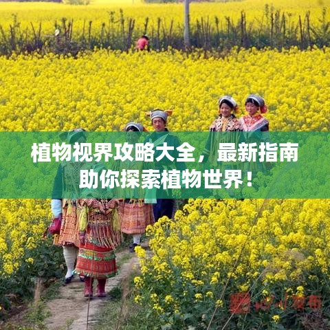 植物视界攻略大全，最新指南助你探索植物世界！