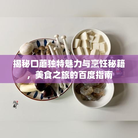 揭秘口蘑独特魅力与烹饪秘籍，美食之旅的百度指南