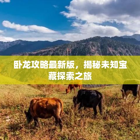 卧龙攻略最新版，揭秘未知宝藏探索之旅