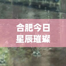 2025年6月14日 第29页