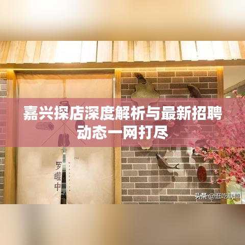 嘉兴探店深度解析与最新招聘动态一网打尽