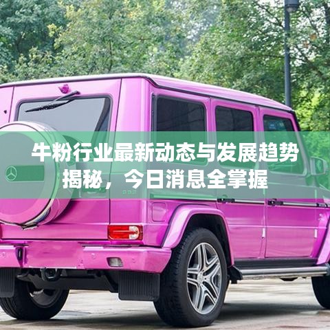 牛粉行业最新动态与发展趋势揭秘，今日消息全掌握