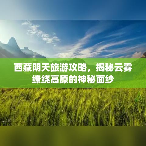 西藏阴天旅游攻略，揭秘云雾缭绕高原的神秘面纱