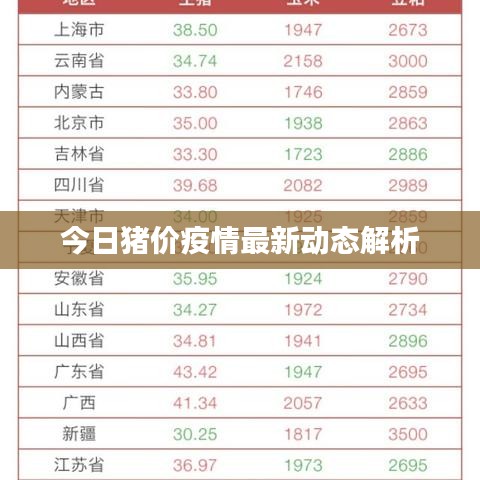 今日猪价疫情最新动态解析