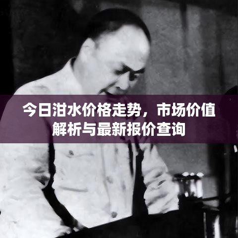 今日泔水价格走势，市场价值解析与最新报价查询