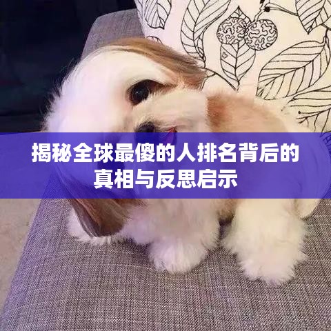 揭秘全球最傻的人排名背后的真相与反思启示