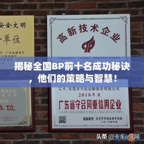 揭秘全国BP前十名成功秘诀，他们的策略与智慧！